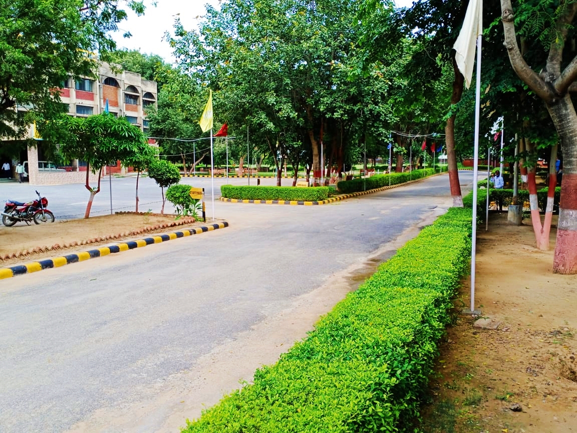 gallery